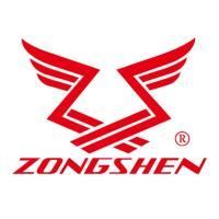 Двигатель бензиновый Zongshen GB 750 B EFI (D=25,4 мм)