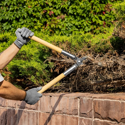 Сучкорез прямого реза, 500 мм, деревянные рукоятки, Горизонт, по ценам производителя в Краснодаре с доставкой по всей России