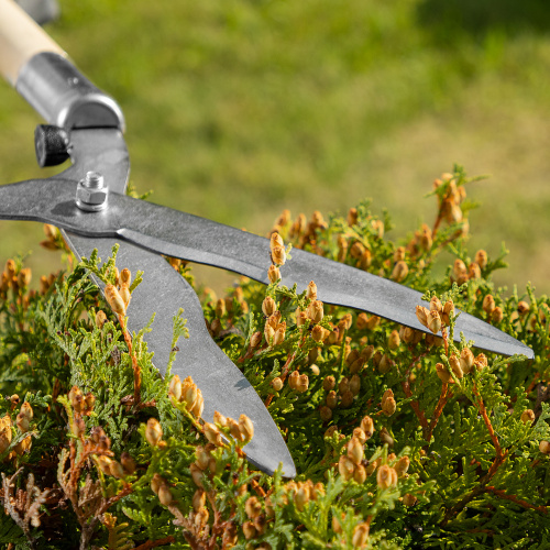 Кусторез, 650 мм, волнистые лезвия, деревянные рукоятки, Горизонт, по ценам производителя в Краснодаре с доставкой по всей России