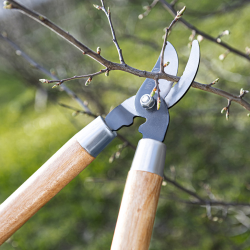 Сучкорез прямого реза, 640 мм, деревянные рукоятки, Palisad по ценам производителя в Краснодаре с доставкой по всей России