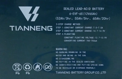 Аккумулятор свинцово-кислотный герм. (GEL) 12В/65Ач (20Hr) 223х135х177 для тележек WPT15-2 по ценам производителя в Краснодаре с доставкой по всей России