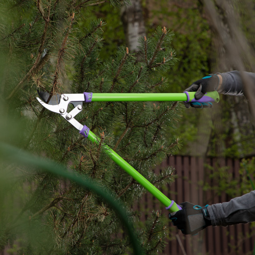 Сучкорез прямого реза, 750 мм, двухрычажный механизм, двухкомпонентные рукоятки, Palisad по ценам производителя в Краснодаре с доставкой по всей России