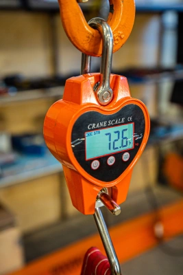 Весы электронные крановые TOR OCS-L 200кг купить в Москве с доставкой по всей России | ProtosMarket.ru