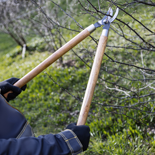 Сучкорез прямого реза, 640 мм, деревянные рукоятки, Palisad по ценам производителя в Краснодаре с доставкой по всей России