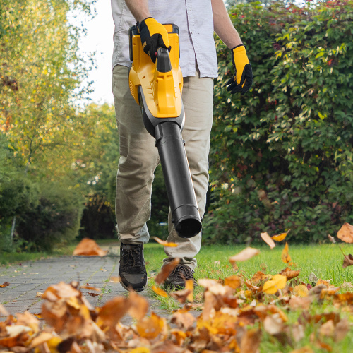 Воздуходувка аккумуляторная RB180-36, Li-ion, 36 В, 4 Ач, 180 км/ч, 820 м3/ч Denzel по ценам производителя в Краснодаре с доставкой по всей России