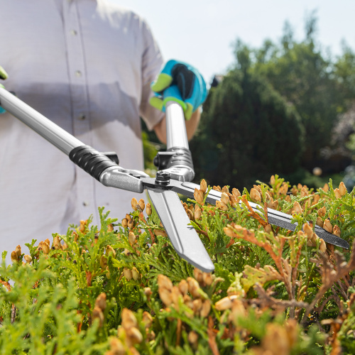 Кусторез, 600 мм, кованый, алюминиевые обрезиненные рукоятки, Forged LUXE Palisad по ценам производителя в Краснодаре с доставкой по всей России