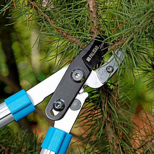 Сучкорез с наковальней, 560 - 740 мм, телескопические алюминиевые рукоятки, Luxe, Palisad по ценам производителя в Краснодаре с доставкой по всей России