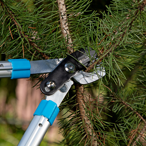 Сучкорез прямого реза, 560 - 735 мм, телескопические алюминиевые рукоятки, Luxe, Palisad по ценам производителя в Краснодаре с доставкой по всей России