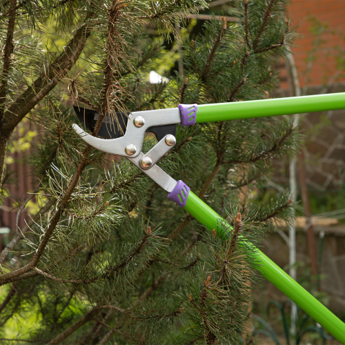 Сучкорез прямого реза, 750 мм, двухрычажный механизм, двухкомпонентные рукоятки, Palisad по ценам производителя в Краснодаре с доставкой по всей России