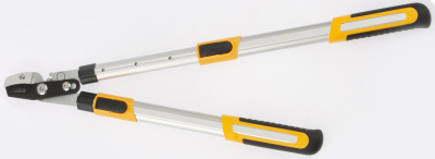 Набор: Сучкорез телескопический 22-29” и секатор прямого реза Denzel по ценам производителя в Краснодаре с доставкой по всей России