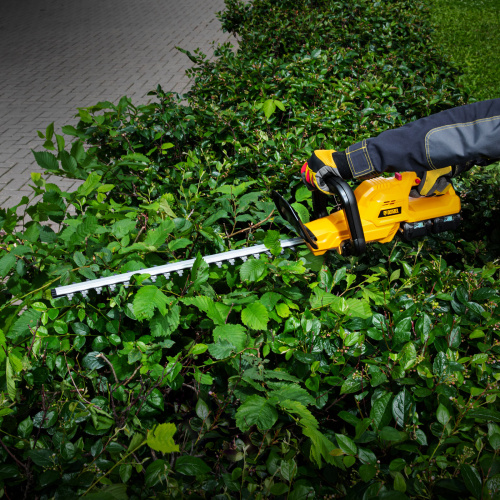 Кусторез аккумуляторный RBC510-36, Li-ion, 36 В, 4 Ач, нож 510 мм, поворотная ручка Denzel по ценам производителя в Краснодаре с доставкой по всей России