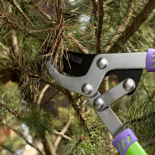 Сучкорез прямого реза, 750 мм, двухрычажный механизм, двухкомпонентные рукоятки, Palisad по ценам производителя в Краснодаре с доставкой по всей России