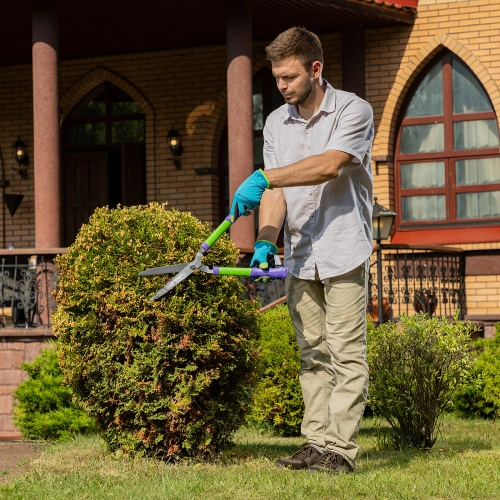 Кусторез, 550 мм, стальные обрезиненные рукоятки, Palisad по ценам производителя в Краснодаре с доставкой по всей России