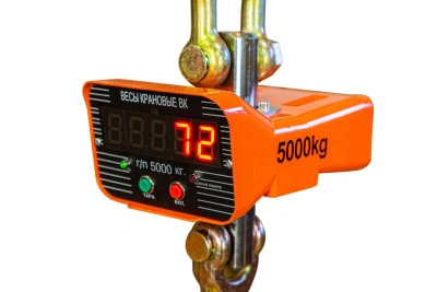 Весы электронные крановые с индикацией TOR OCS-TY-С 5T купить в Москве с доставкой по всей России | ProtosMarket.ru