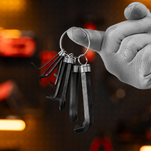 Набор ключей имбусовых HEX, 1.5-10 мм, CrV, 10 шт, оксидированные, на кольце Sparta по ценам производителя в Краснодаре с доставкой по всей России